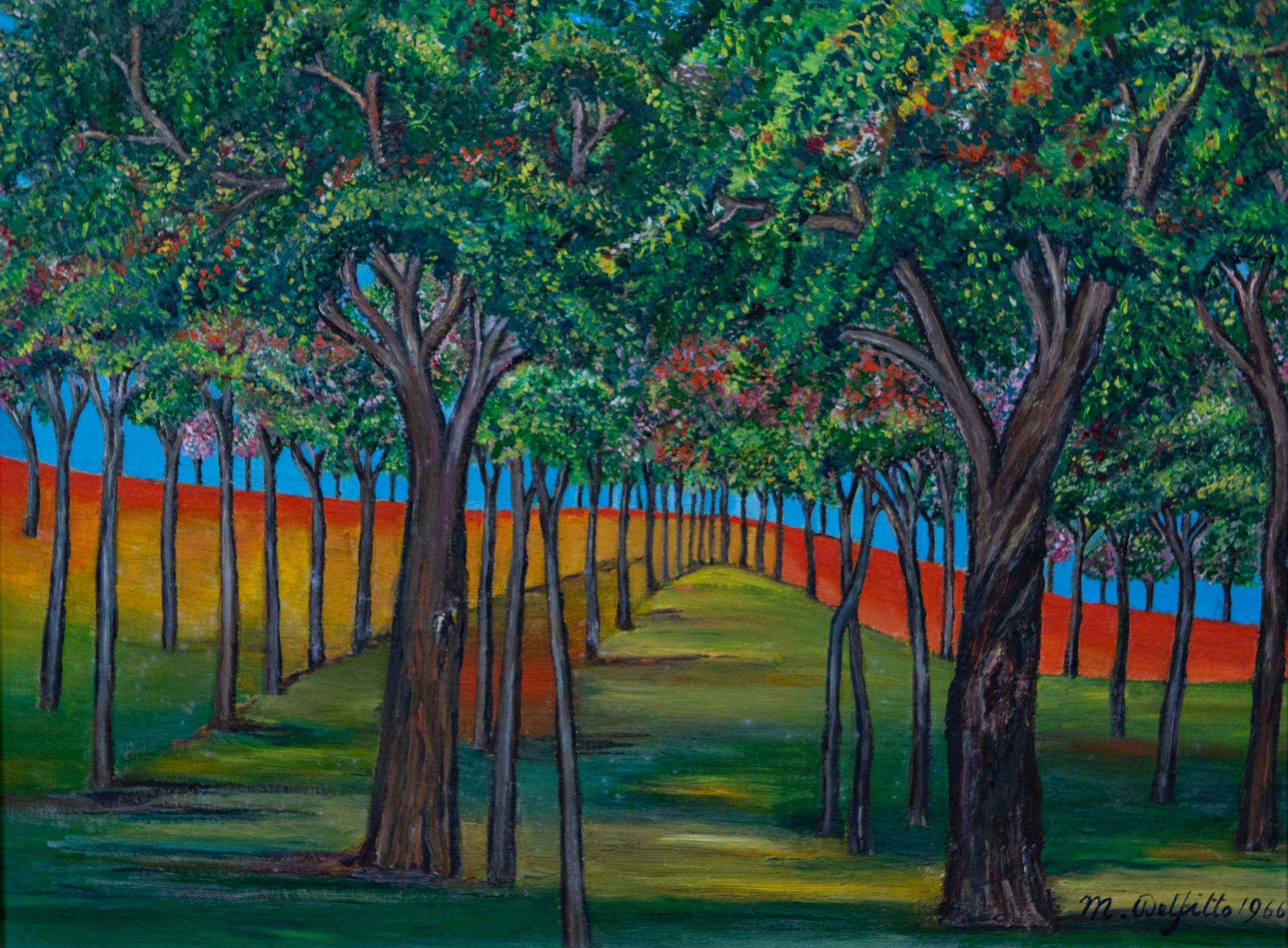 Alberi sulla collina